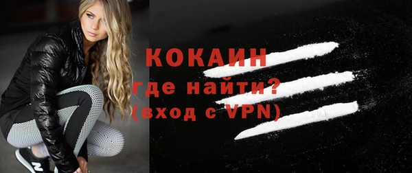 сатива Верея