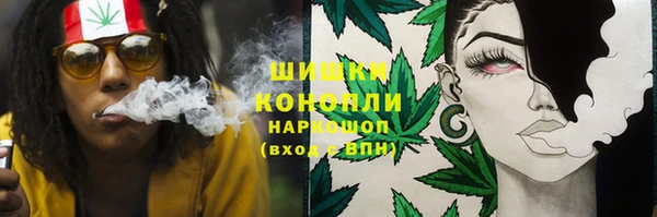 спиды Вяземский