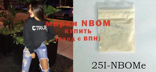 сатива Верея