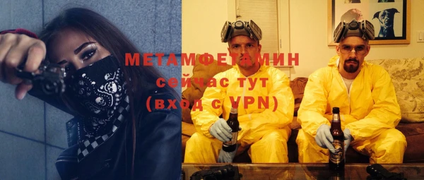 сатива Верея
