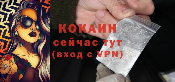 сатива Верея