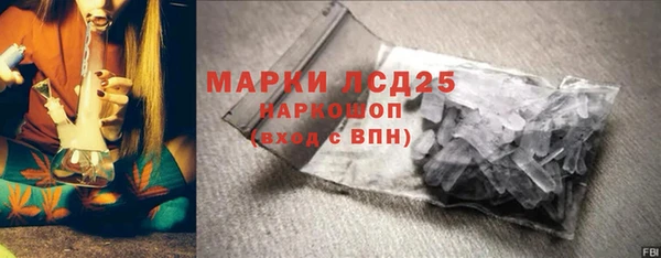 сатива Верея