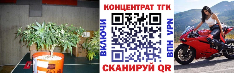 что такое   Черкесск  Дистиллят ТГК Wax 