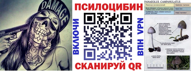 Галлюциногенные грибы MAGIC MUSHROOMS  Черкесск 